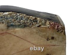 Tabatière Boîte à Priser Ouverture à Système Cercueil Croix Art Populaire XIXème