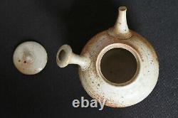 Théière japonaise en céramique Kyusu teapot 250 ml / Shiraiwa Taisuke