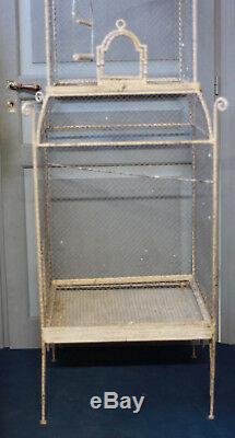 Volière cage à oiseaux en métal grillagée de style 1900 aviary
