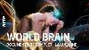 World Brain Documentaire Complet La Lucarne Arte
